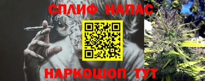 дурь Пугачёв