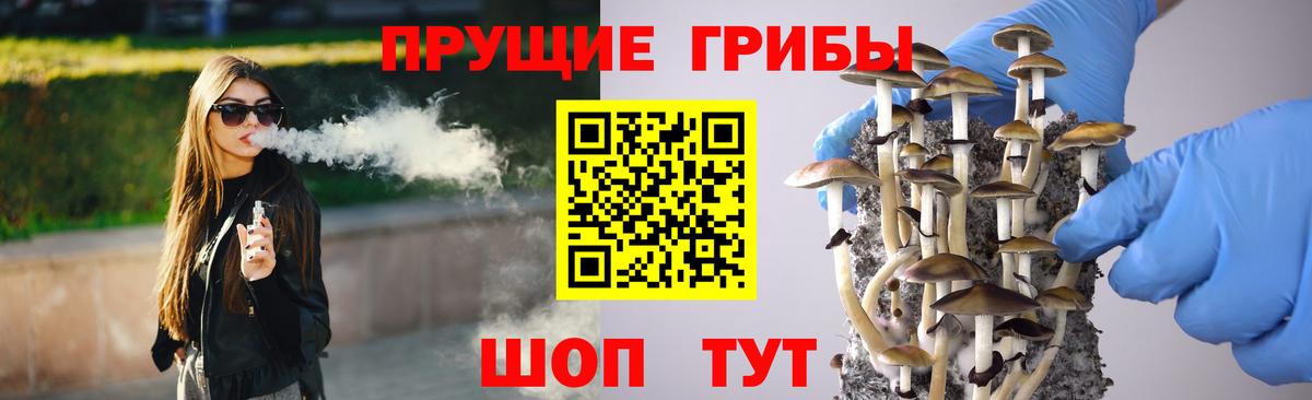 Нурлат  Псилоцибиновые грибы Psilocybine cubensis  Вход с VPN 
